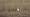 2015-03-08 11-51-29 FinepixHS50 1084,9mm 1 350 eme