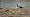 2015-03-08 11-54-13 FinepixHS50 1084,9mm 1 340 eme