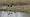 2015-03-08 12-05-32 FinepixHS50 603,4mm 1 640 emeB