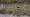 2015-03-08 12-07-04 FinepixHS50 1084,9mm 1 600 eme