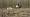 2015-03-08 12-07-55 FinepixHS50 1084,9mm 1 750 eme