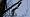 2015-03-08 12-22-32 FinepixHS50 448,6mm 1 1600 eme