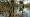 2015-03-08 12-28-31 FinepixHS50 25,8mm 1 350 eme