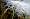 2015-03-08 12-35-04 FinepixHS50 230,4mm 1 800 eme