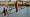 2015-03-08 13-07-12 FinepixHS50 47,5mm 1 600 eme