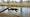 2015-03-08 13-12-09 FinepixHS50 47,5mm 1 340 eme