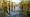 2015-04-06 18-40-01 FinepixHS50 25,8mm 1 210 eme