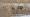 2015-04-06 18-49-57 FinepixHS50 977,0mm 1 210 eme