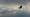 2015-04-06 19-01-56 FinepixHS50 560,6mm 1 2000 emeB