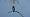 2015-12-28 12-52-33 FinePixHS50 1084,9mm 1 250 eme F6,4