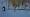 2015-12-28 13-15-27 FinePixHS50 1084,9mm 1 480 eme F5,6B