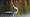 2016-08-15 19-18-11 FinePixHS50 160,5mm 1 240 emeB
