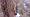 2017-01-08 14-51-55 FinepixHS50 626,3mm 1 30 eme-1