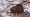 2017-02-19 17-05-21 FinepixHS50 674,4mm 1 100 emeE