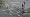 2020-01-01 14-53-09 Rx10M3 1 80 eme 40,0mm