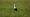 2020-07-19 19-05-00 Rx10M3 1 1000 eme 599,0mm