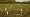 2020-09-24 08-25-18 Rx10M3 1 100 eme 81,0mmA