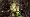 2020-12-26 12-38-40 Rx10M3 1 640 eme 200,0mmlumi�re ombre