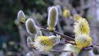 2015-03-23 18-48-52 FinepixHS50 146,6mm 1 10 emeA