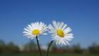 2020-03-22 13-56-35 Rx10M3 1 1000 eme 50,0mm