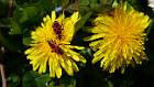 2020-03-28 13-20-37 Rx10M3 1 1600 eme 52,0mm