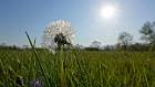 2020-04-04 16-59-27 Rx10M3 1 1250 eme 24,0mm