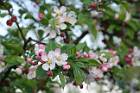 2020-04-06 18-49-45 Rx10M3 1 250 eme 135,0mm