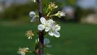 2020-04-08 13-18-55 Rx10M3 1 1000 eme 97,0mmA