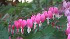2020-04-14 18-14-31 Rx10M3 1 800 eme 104,0mm