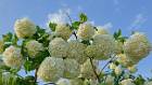 2020-04-24 18-50-12 Rx10M3 1 1000 eme 41,0mm