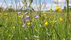 2020-04-29 13-52-13 Rx10M3 1 1000 eme 29,0mm