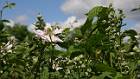 2020-04-29 13-55-56 Rx10M3 1 1000 eme 88,0mm
