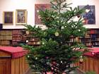 2012-12-02 16-52-47 FinePixHS20 54,3mm 1