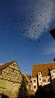2012-12-29 12-26-15 FinePixHS20 24,6mm 1 1500 eme