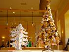 2013-12-01 12-15-37 FinepixHS50 50,6mm 1 70 eme