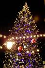 2014-01-05 19-01-22 FinepixHS50 52,6mm 1 6 eme