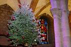 2014-12-07 17-26-19 FinepixHS50 51,5mm 1 4 eme