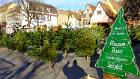 2014-12-23 10-51-27 FinepixHS50 32,2mm 1 480 eme