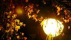 2015-12-16 19-19-59 FinePixHS50 59,2mm 1 4 eme F3,6