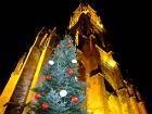 2015-12-23 17-49-03 FinePixHS50 23,6mm 1 2 eme F2,8
