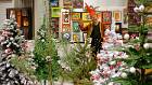 2015-12-26 18-08-57 FinePixHS50 55,1mm 1 8 eme F3,6