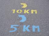 2009-10-11_09-20-17_FinePixS100FS_98,7mm_1_450_eme