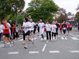 2009-10-11_08-57-04_FinePixS100FS_75,2mm_1_550_eme