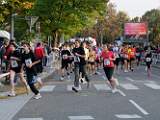 2010-10-10_08-58-02_FinePixS100FS_111,1mm_1_240_eme