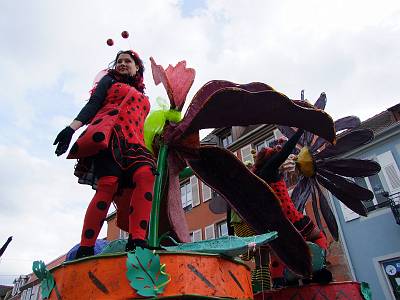 2010-02-21_15-05-24_FinePixS100FS_28,2mm_1_500_eme