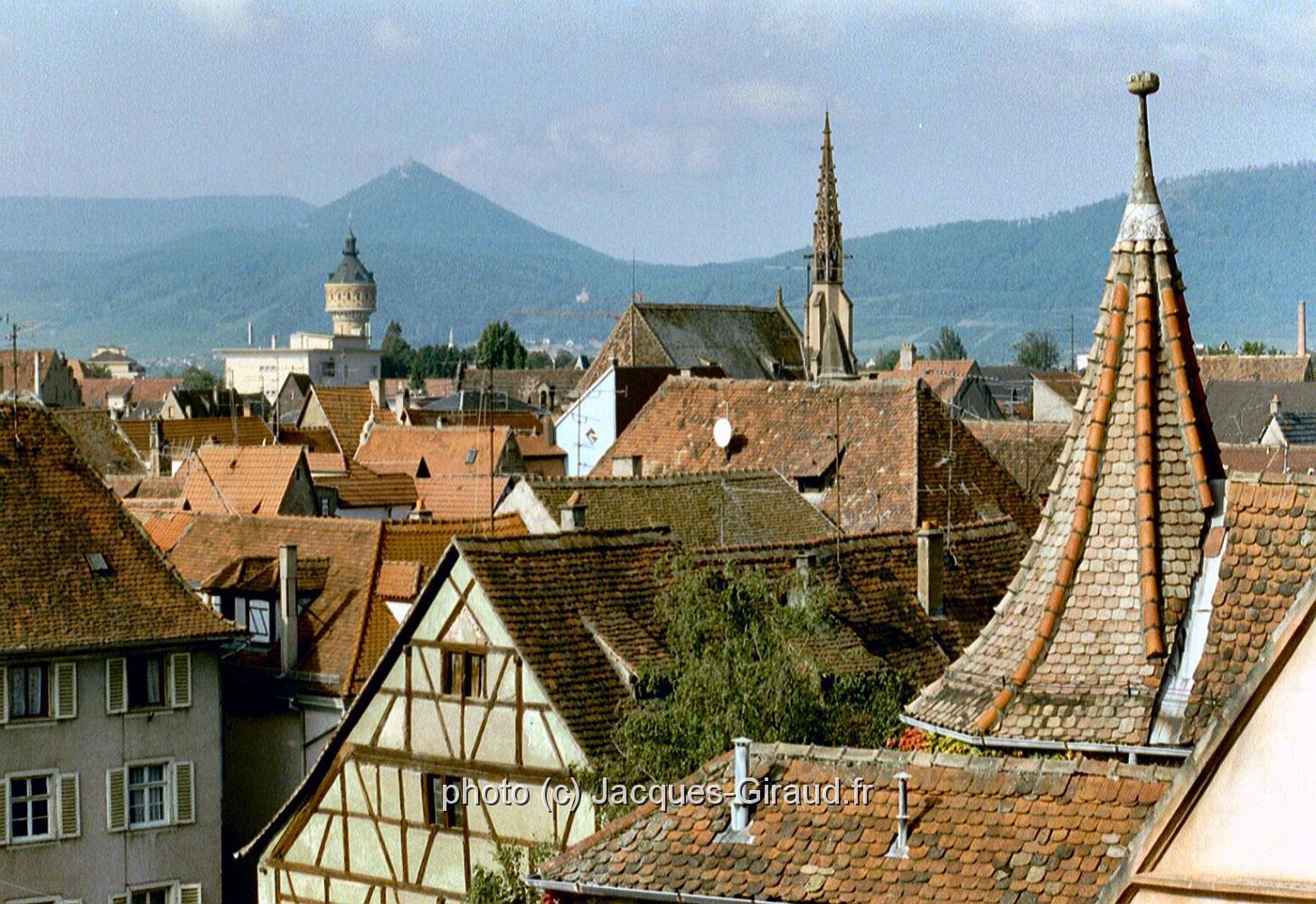 imm026.JPG