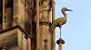 2015-04-10 18-59-31 FinepixHS50 603,4mm 1 240 eme