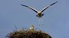 2015-07-19 19-10-39 FinePixHS50 907,2mm 1 1600 emeB