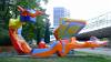 2015-09-12 10-26-40 FinePixHS50 37,5mm 1 280 eme