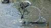 2015-09-12 11-29-09 FinePixHS50 67,4mm 1 120 eme